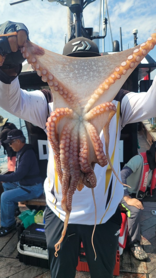 3476aab1dc89e418790b496511c40a90_1767520