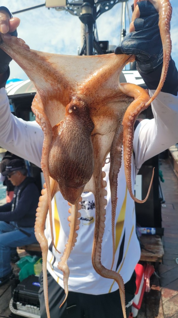 3476aab1dc89e418790b496511c40a90_1767520