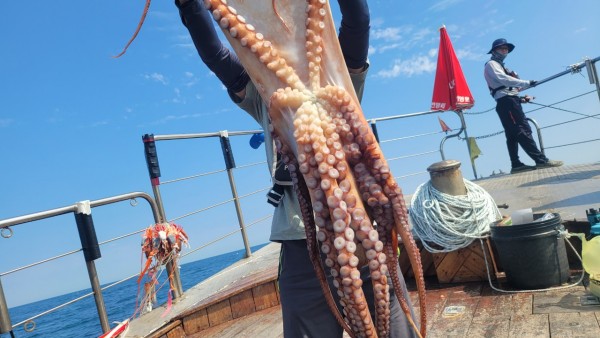 3476aab1dc89e418790b496511c40a90_1767520