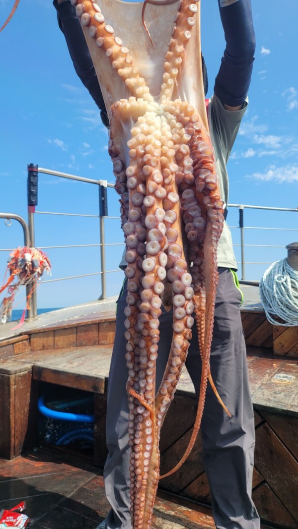 3476aab1dc89e418790b496511c40a90_1767520