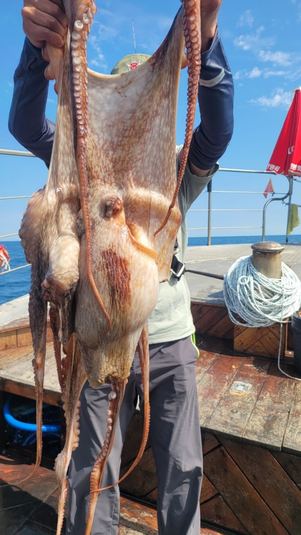 3476aab1dc89e418790b496511c40a90_1767520