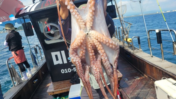 3476aab1dc89e418790b496511c40a90_1767520