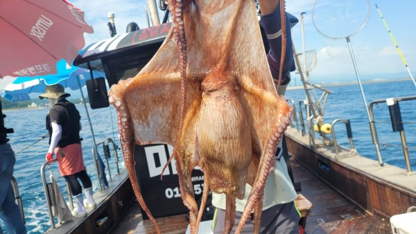 3476aab1dc89e418790b496511c40a90_1767520