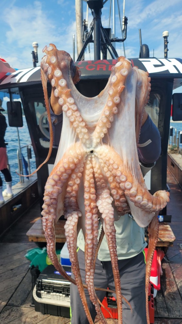 3476aab1dc89e418790b496511c40a90_1767520