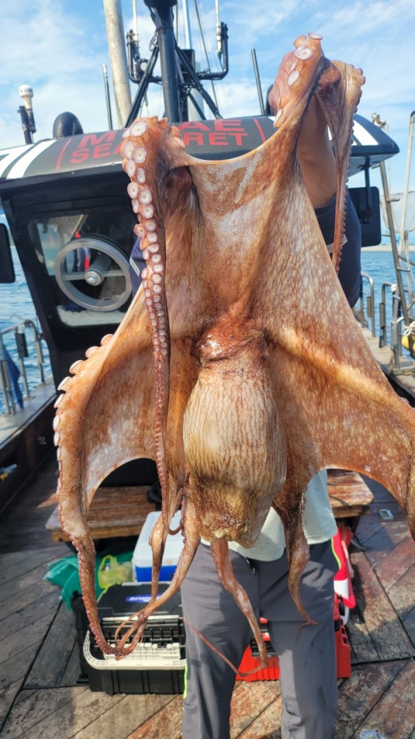 3476aab1dc89e418790b496511c40a90_1767520