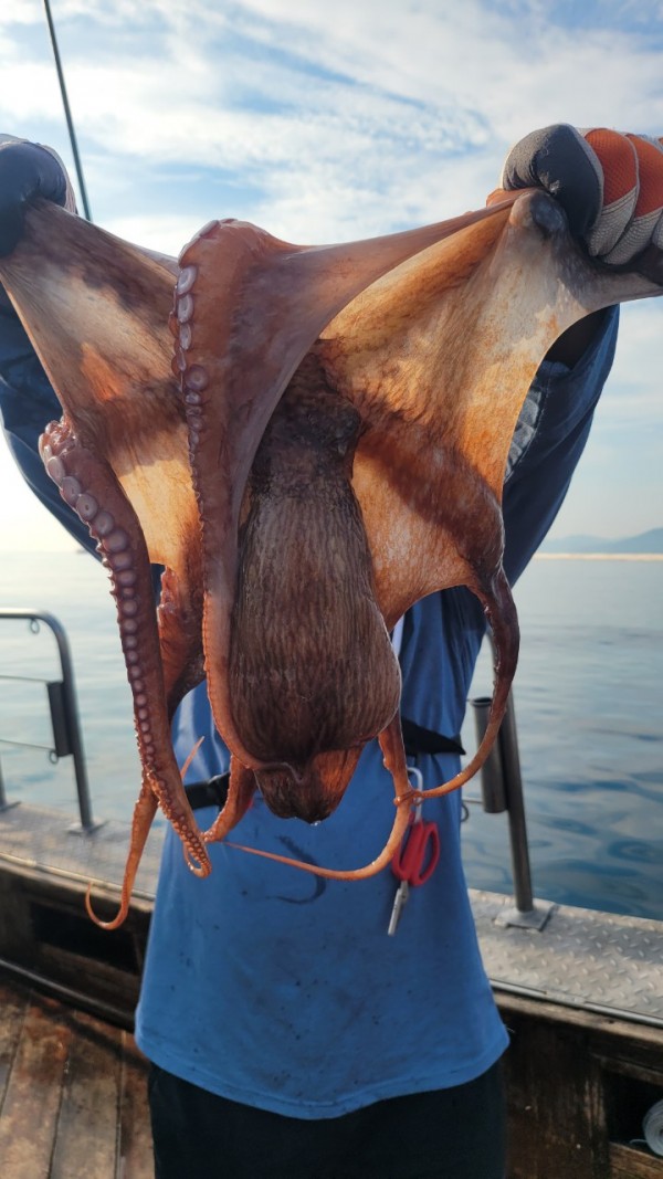 3d6bca9ac9e5c6988aa8ff6af4093940_1767515