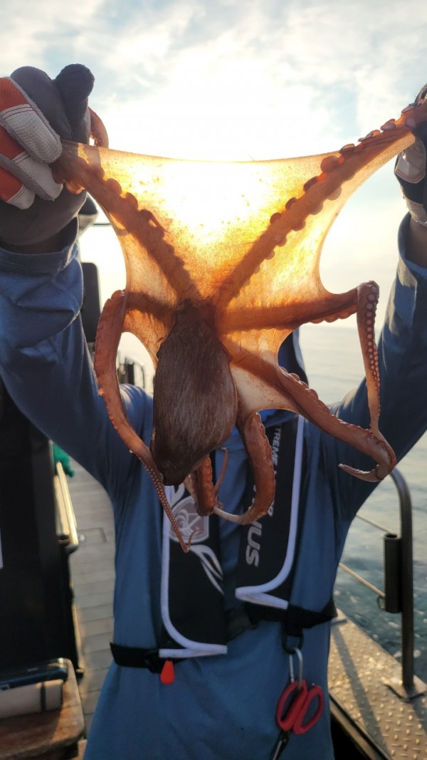 3d6bca9ac9e5c6988aa8ff6af4093940_1767515