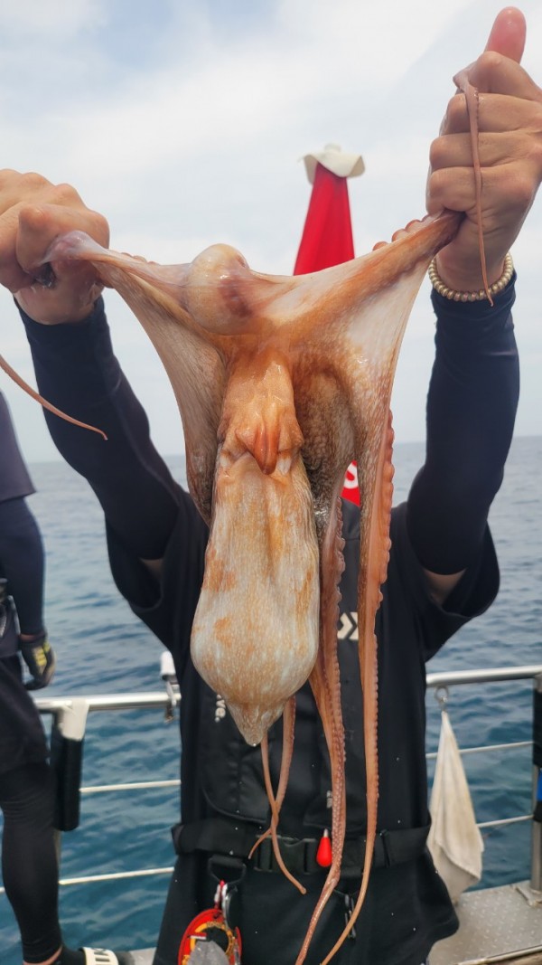 3d6bca9ac9e5c6988aa8ff6af4093940_1767515