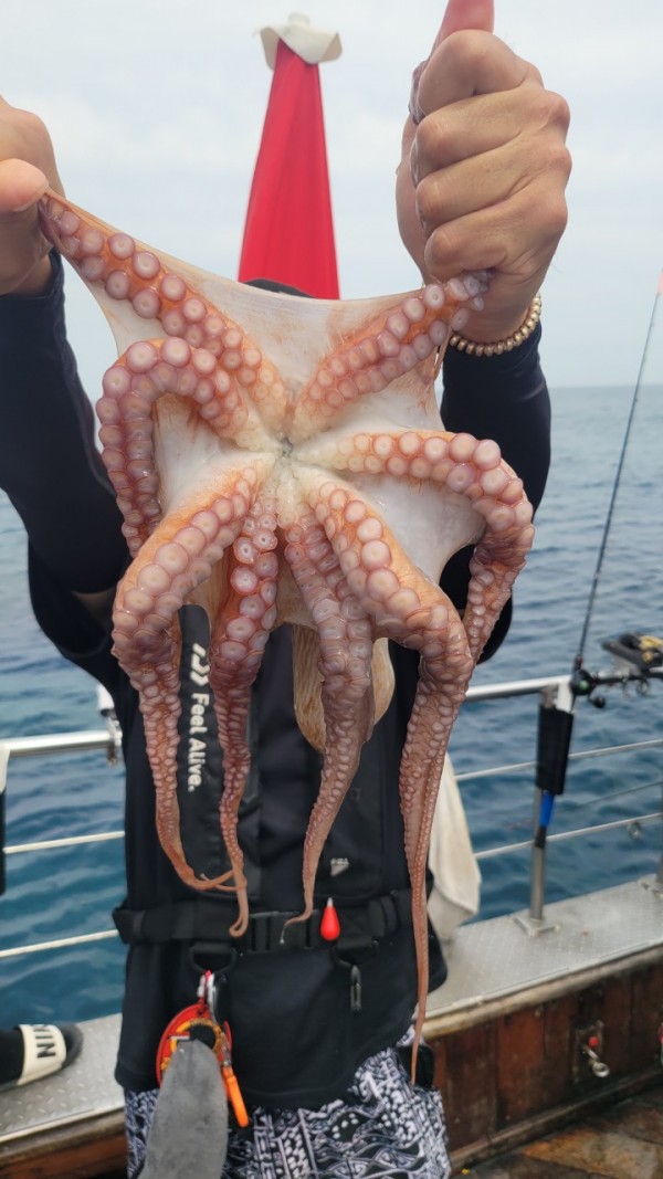 3d6bca9ac9e5c6988aa8ff6af4093940_1767515