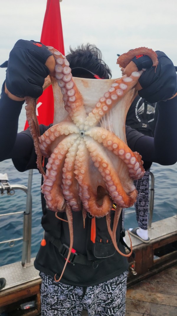 3d6bca9ac9e5c6988aa8ff6af4093940_1767515