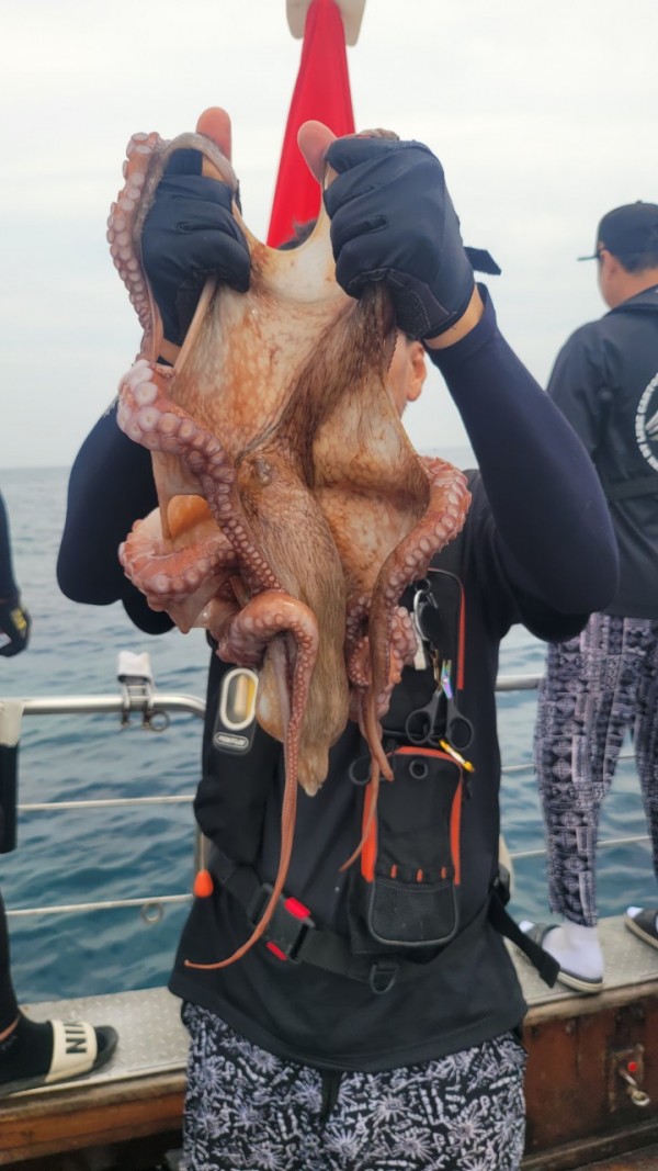 3d6bca9ac9e5c6988aa8ff6af4093940_1767515