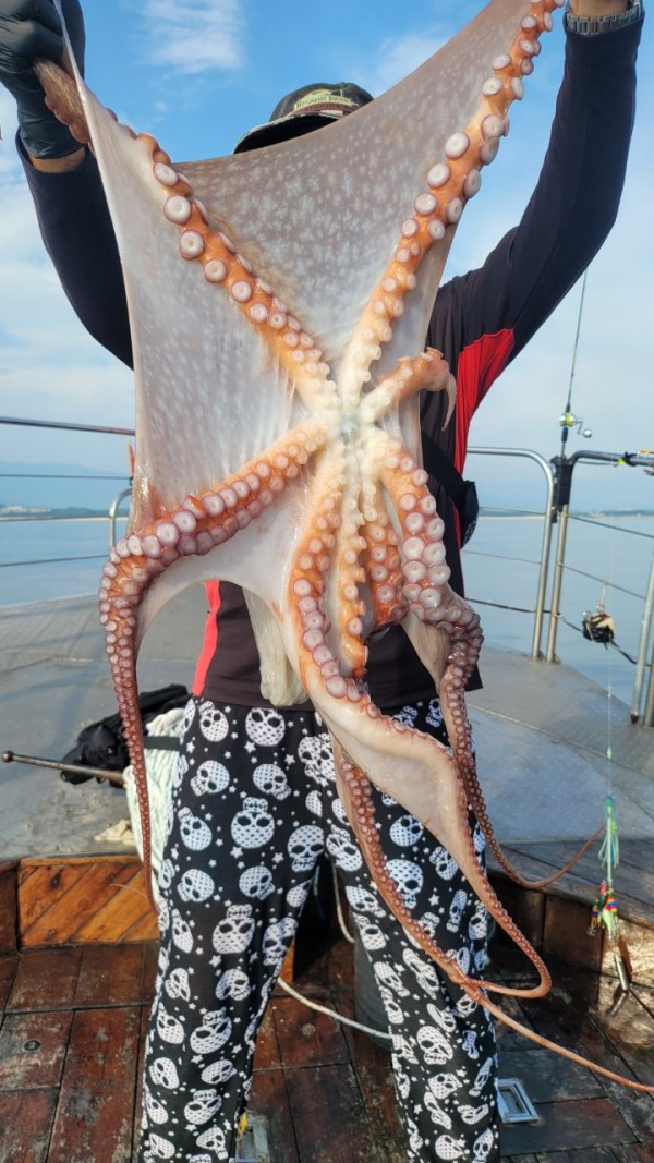 3d6bca9ac9e5c6988aa8ff6af4093940_1767516