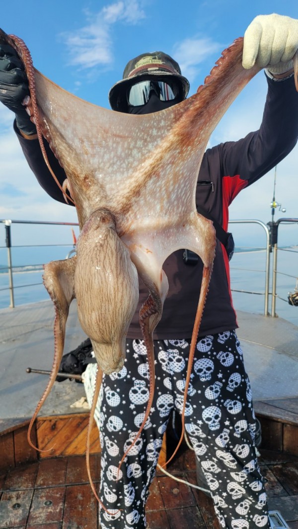 3d6bca9ac9e5c6988aa8ff6af4093940_1767516