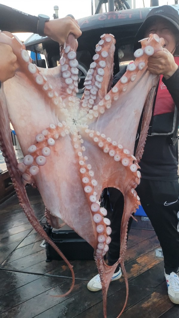 3d6bca9ac9e5c6988aa8ff6af4093940_1767516