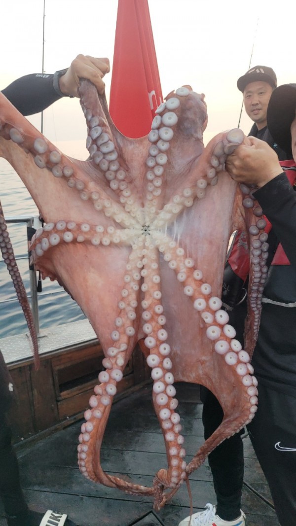 3d6bca9ac9e5c6988aa8ff6af4093940_1767516