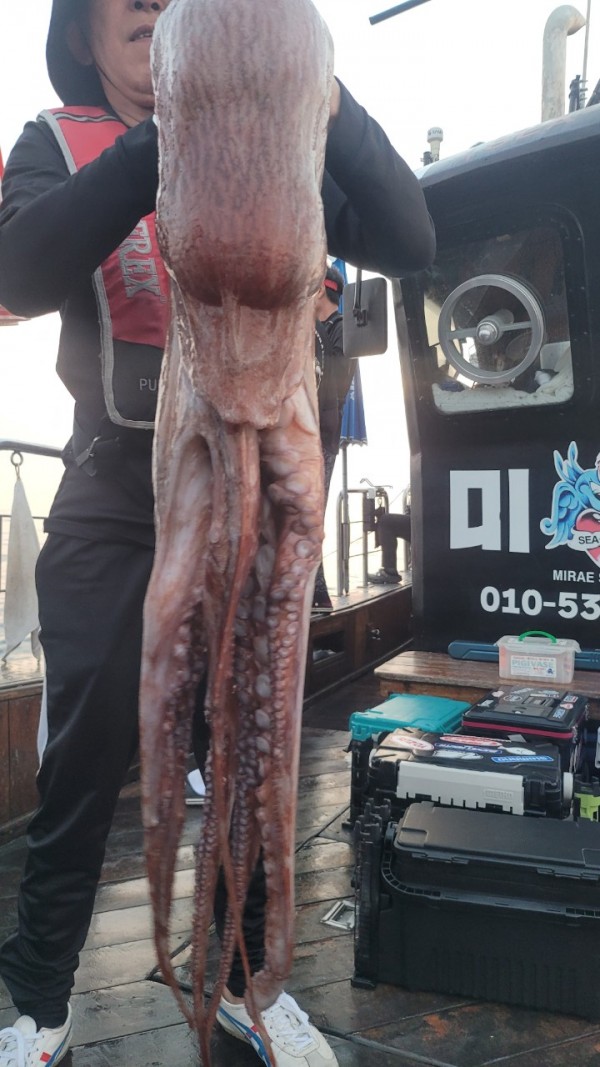 3d6bca9ac9e5c6988aa8ff6af4093940_1767516