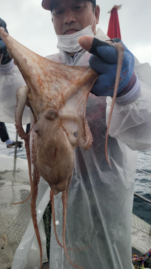 42829813fe8233d48a956e7f1fdc7257_1767516