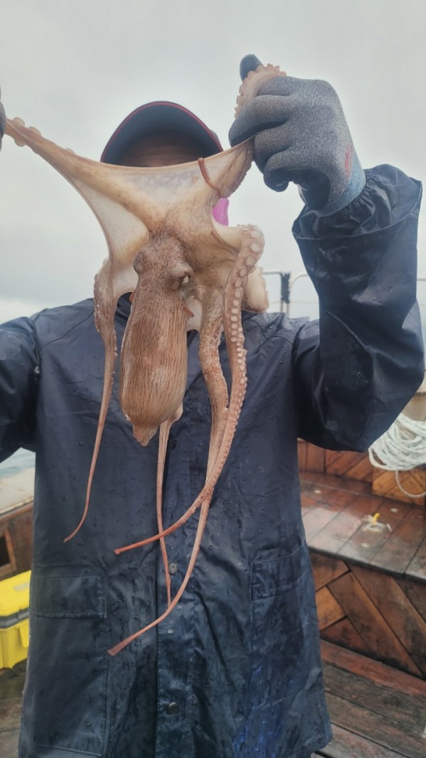 42829813fe8233d48a956e7f1fdc7257_1767516