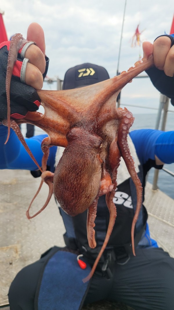 42829813fe8233d48a956e7f1fdc7257_1767516