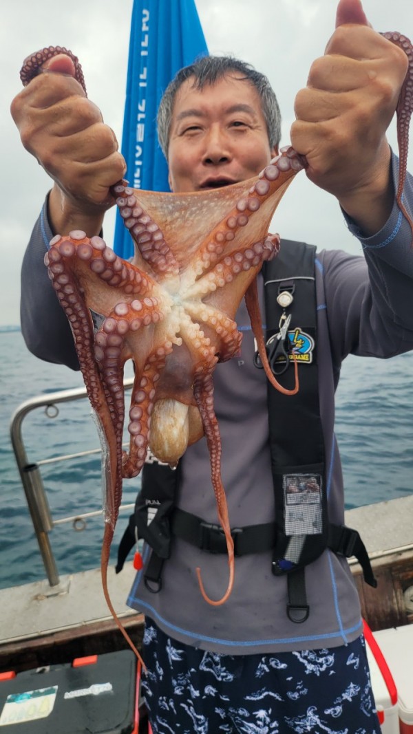 42829813fe8233d48a956e7f1fdc7257_1767516