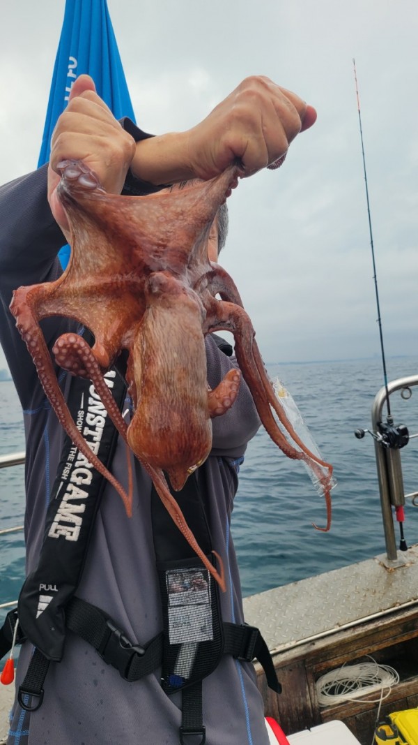 42829813fe8233d48a956e7f1fdc7257_1767516