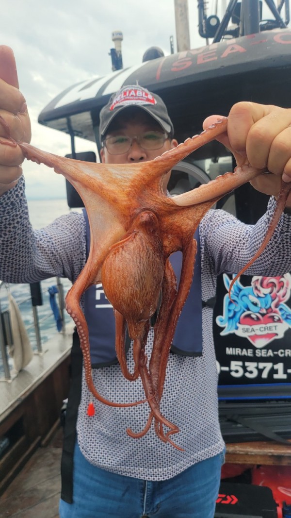 42829813fe8233d48a956e7f1fdc7257_1767516