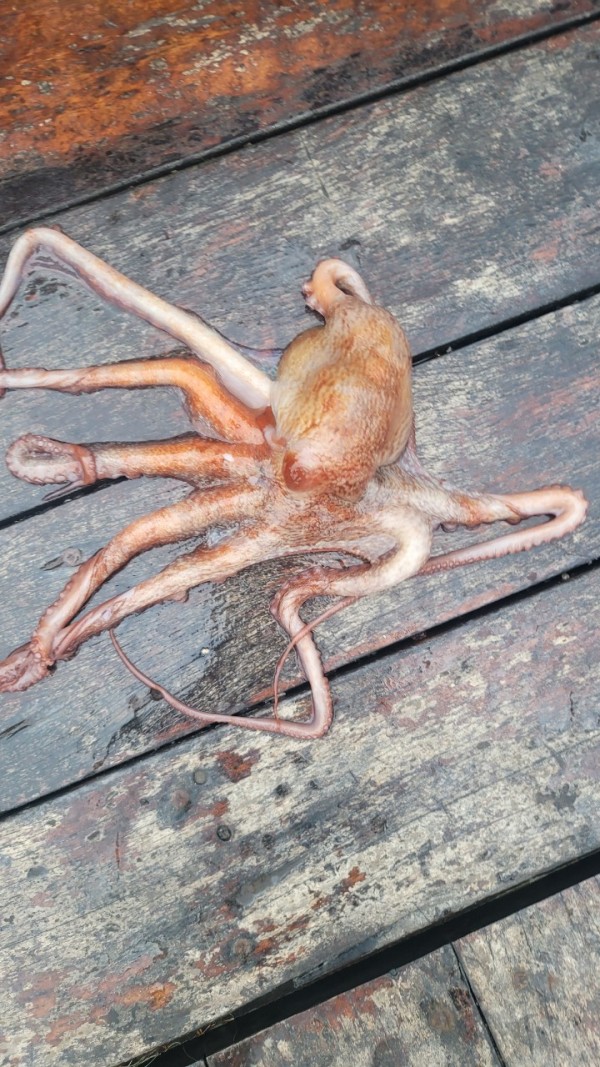 42829813fe8233d48a956e7f1fdc7257_1767516