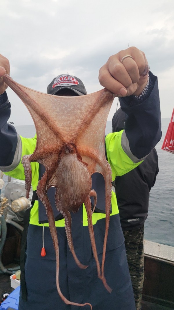 42829813fe8233d48a956e7f1fdc7257_1767516