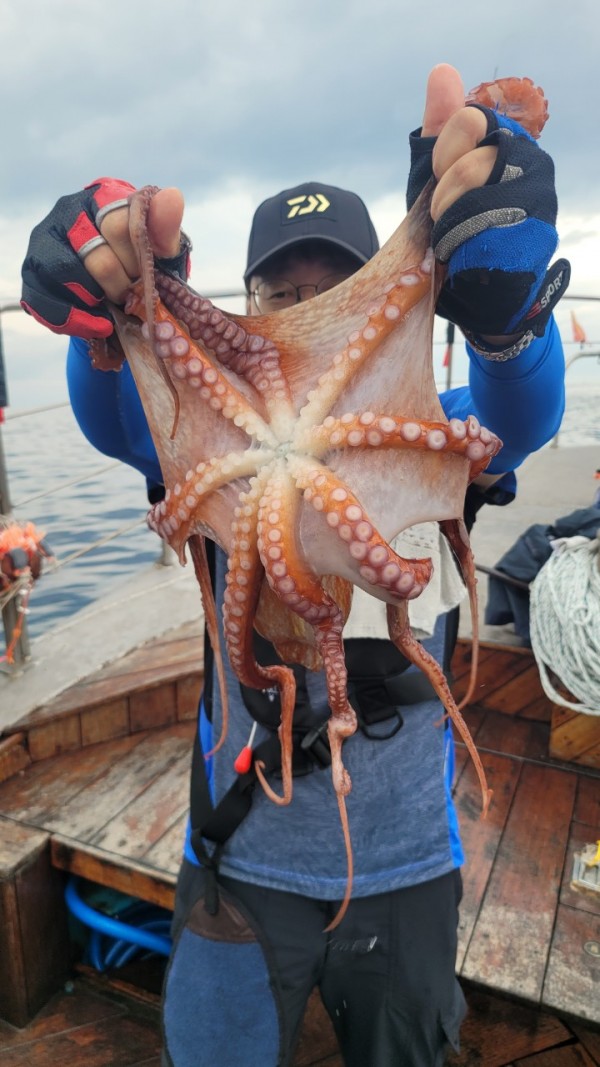 42829813fe8233d48a956e7f1fdc7257_1767516