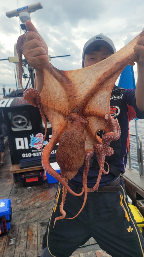 42829813fe8233d48a956e7f1fdc7257_1767516