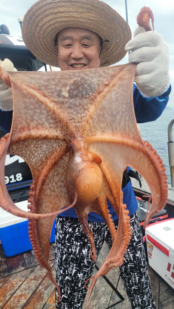 42829813fe8233d48a956e7f1fdc7257_1767516