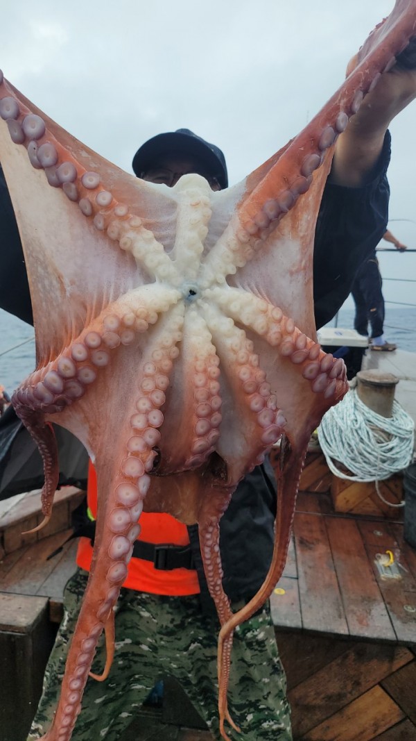 42829813fe8233d48a956e7f1fdc7257_1767516