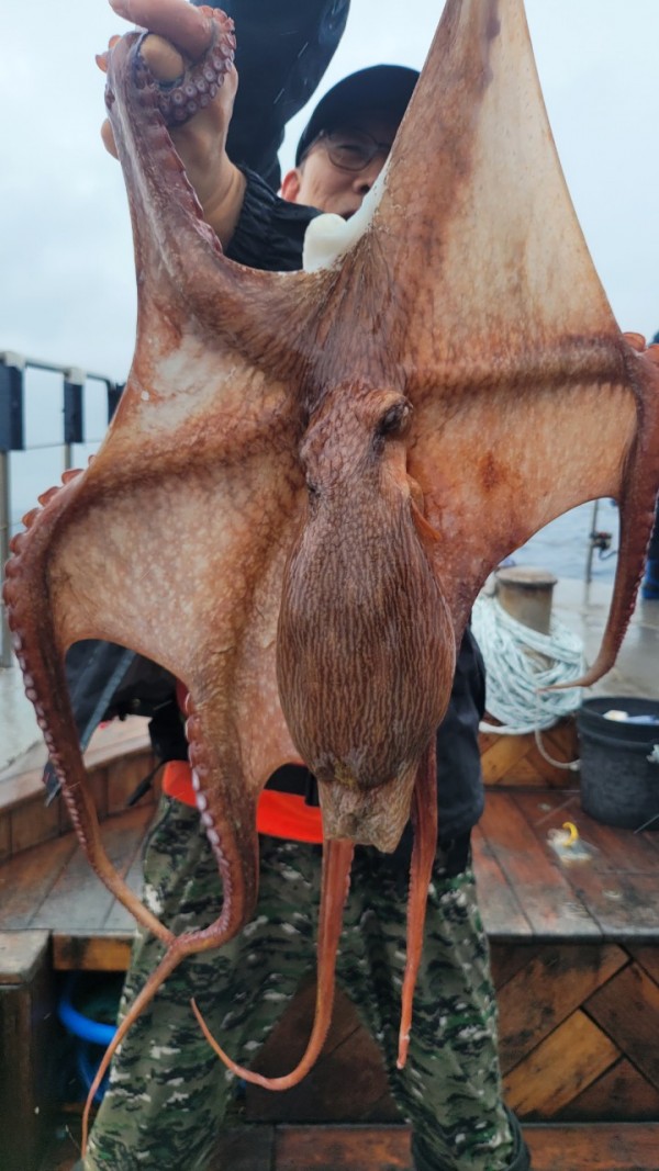 42829813fe8233d48a956e7f1fdc7257_1767516