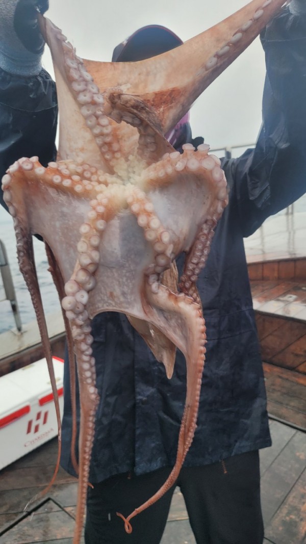 42829813fe8233d48a956e7f1fdc7257_1767516