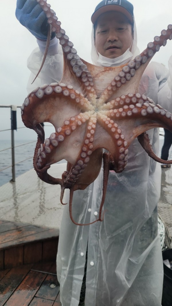 42829813fe8233d48a956e7f1fdc7257_1767516