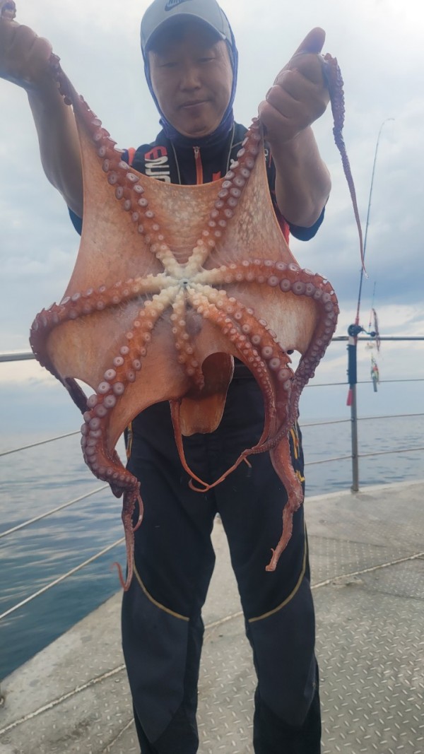 42829813fe8233d48a956e7f1fdc7257_1767516