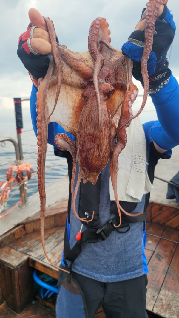 42829813fe8233d48a956e7f1fdc7257_1767516