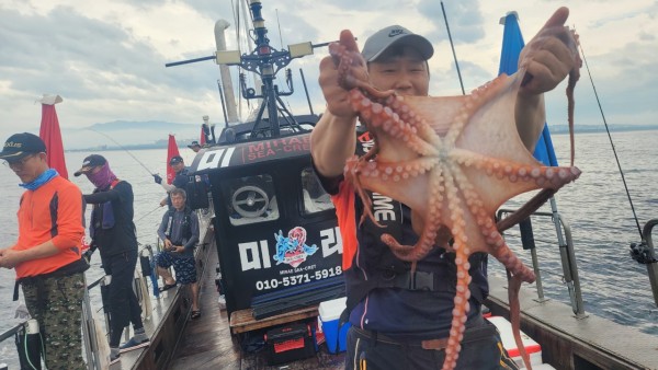 42829813fe8233d48a956e7f1fdc7257_1767516