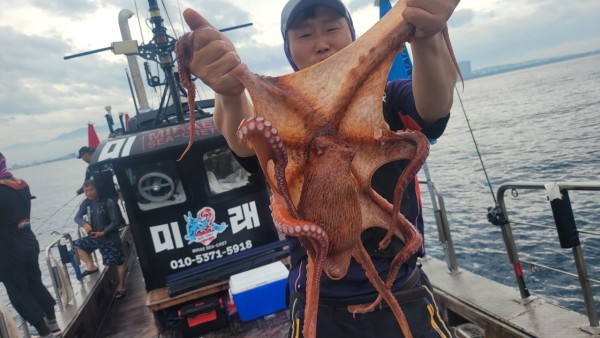 42829813fe8233d48a956e7f1fdc7257_1767516