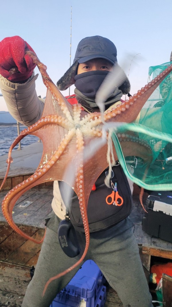 45d412e133e40cd1e6eed641569fe97b_1769760