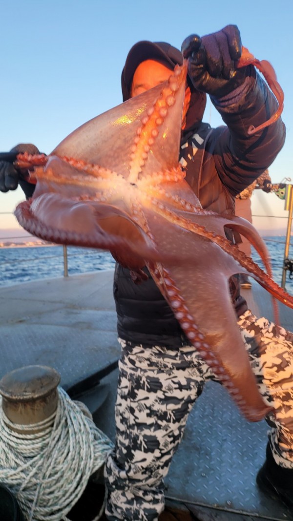 45d412e133e40cd1e6eed641569fe97b_1769760