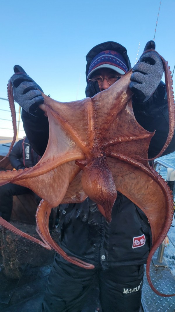 45d412e133e40cd1e6eed641569fe97b_1769760