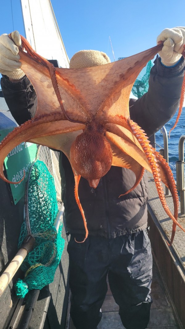 45d412e133e40cd1e6eed641569fe97b_1769760