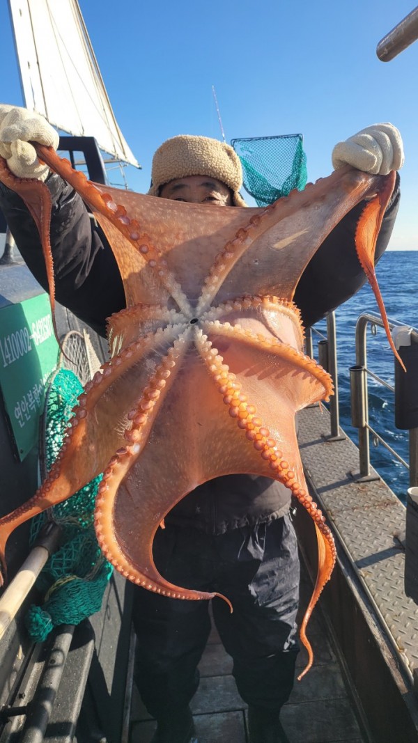 45d412e133e40cd1e6eed641569fe97b_1769760