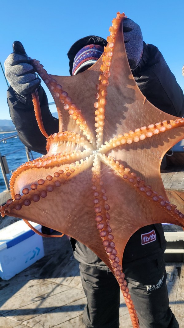 45d412e133e40cd1e6eed641569fe97b_1769760