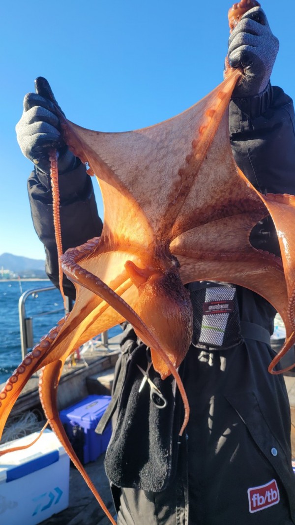 45d412e133e40cd1e6eed641569fe97b_1769760