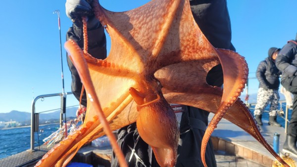 45d412e133e40cd1e6eed641569fe97b_1769760