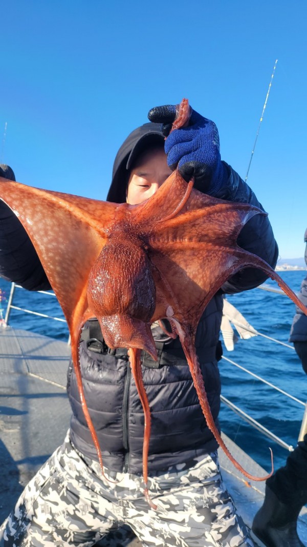 45d412e133e40cd1e6eed641569fe97b_1769760