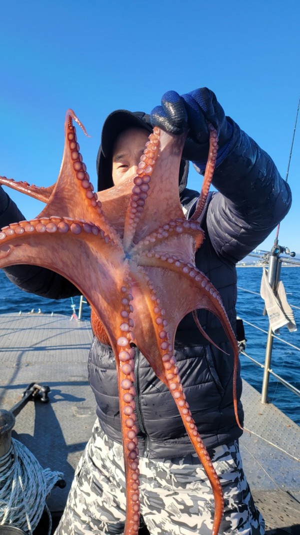 45d412e133e40cd1e6eed641569fe97b_1769760