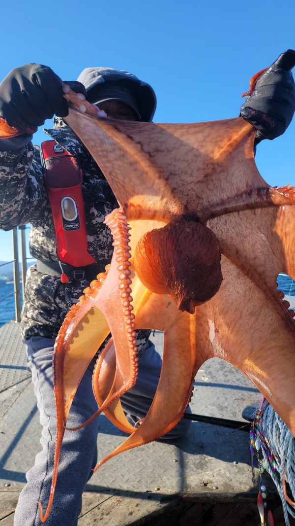 45d412e133e40cd1e6eed641569fe97b_1769760